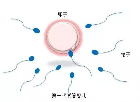 实验室环境